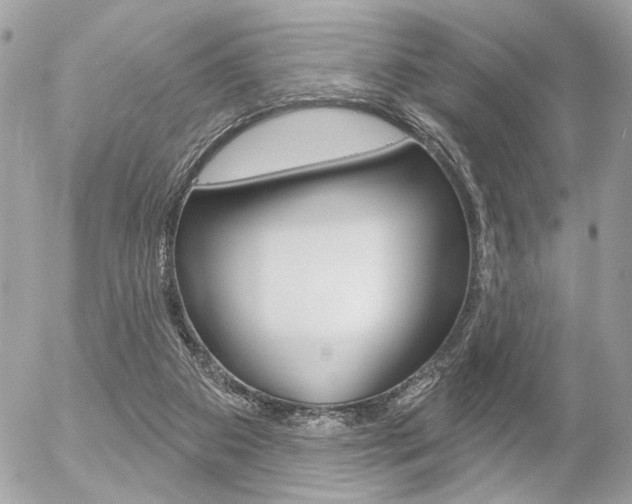 X0000056330113200508260836