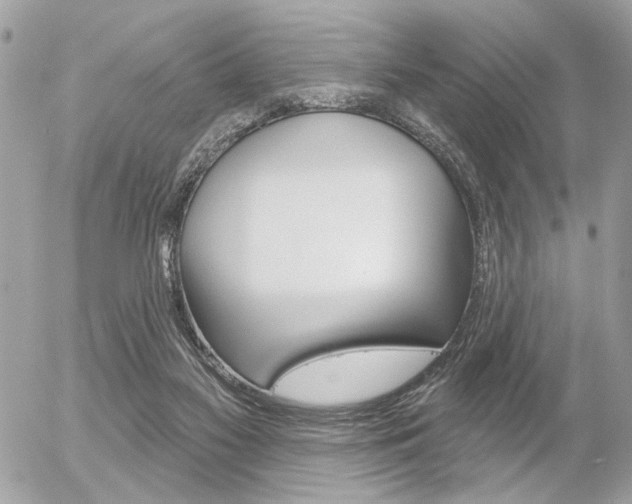X0000056330117200508260835