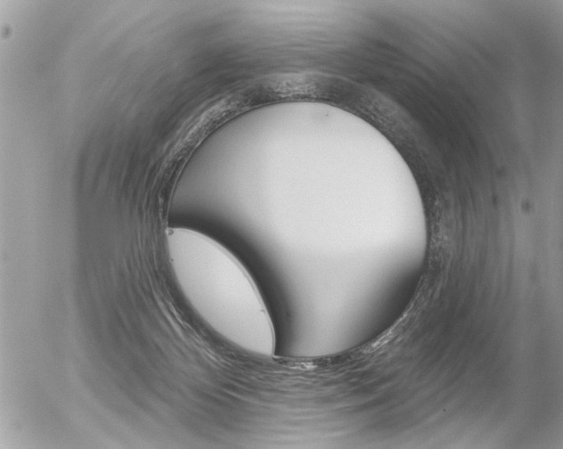 X0000056330124200508260835