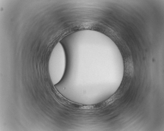 X0000056330126200508260835