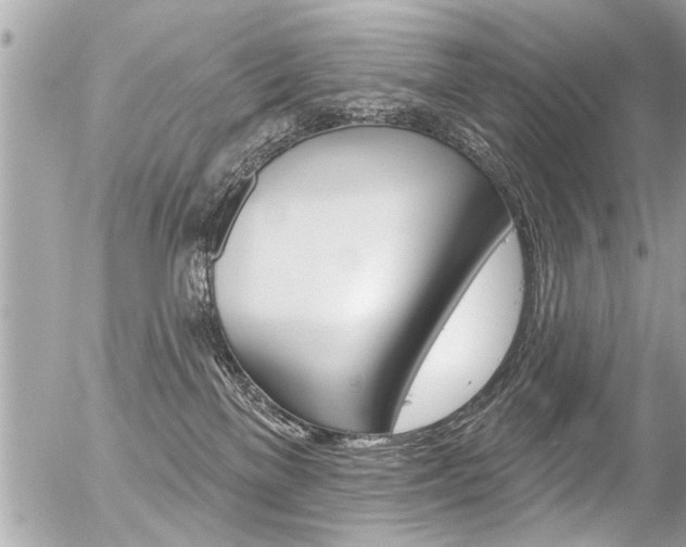 X0000056330137200508260835