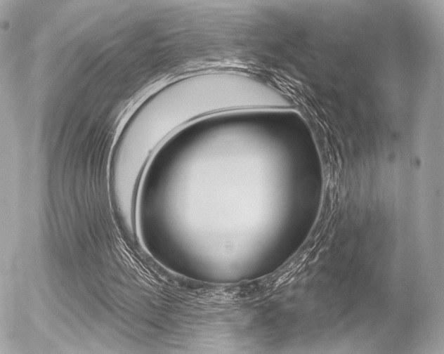 X0000056330148200508260834