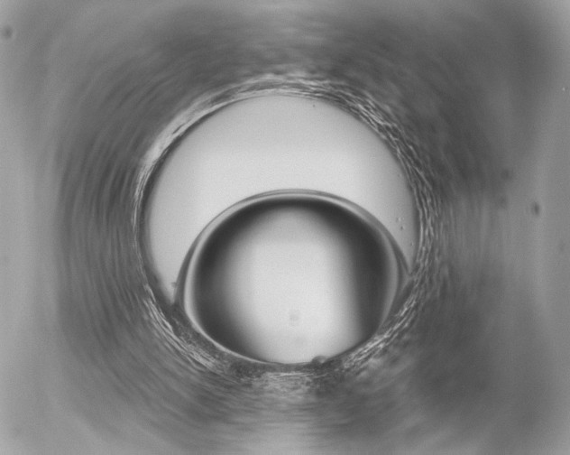 X0000056330150200508260834