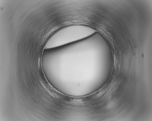 X0000056330157200508260834