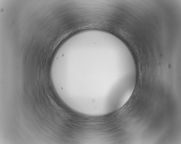 X0000056330164200508260835
