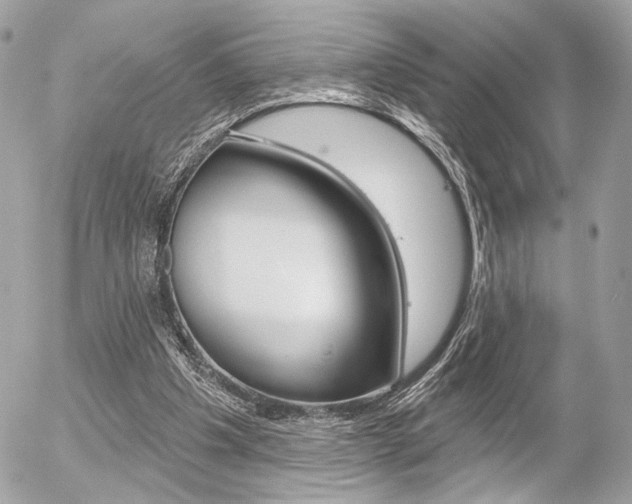 X0000056330201200508260834
