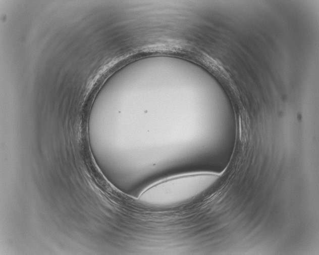 X0000056330204200508260834