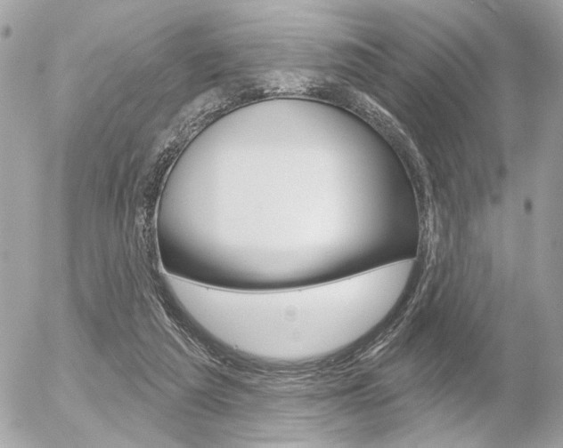 X0000056330209200508260834