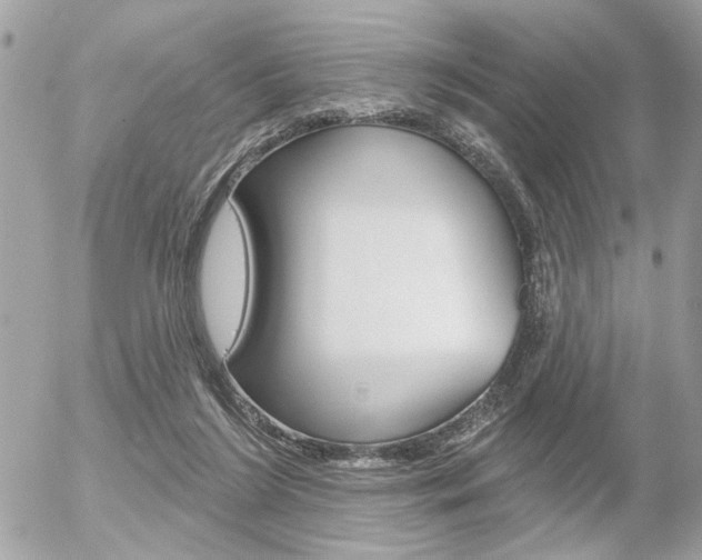 X0000056330212200508260834