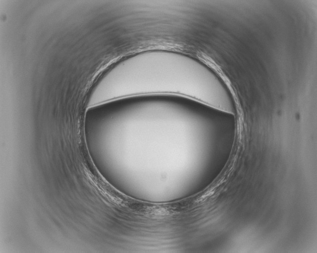 X0000056330249200508260833