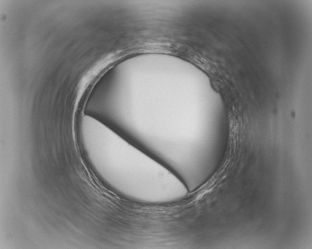 X0000056330294200508260832