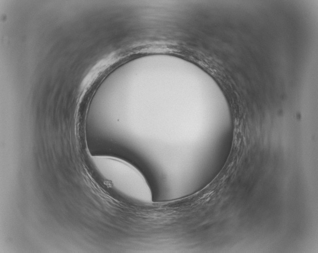 X0000056330296200508260832