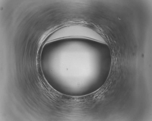 X0000056330340200508260831