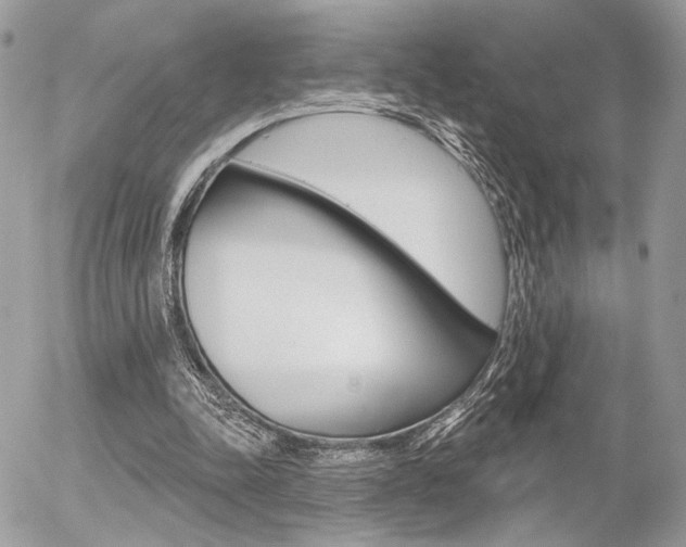 X0000056330342200508260831