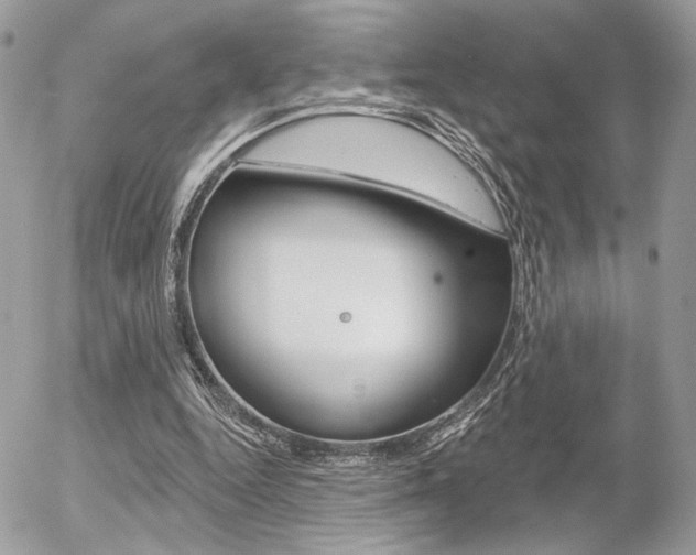 X0000056330344200508260831