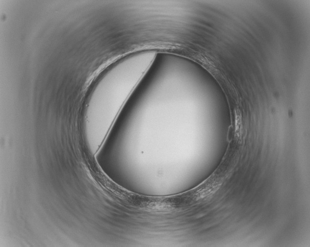 X0000056330348200508260831