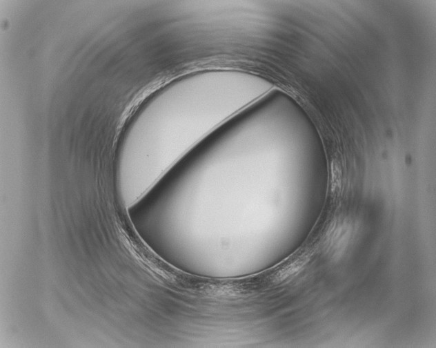 X0000056330349200508260831