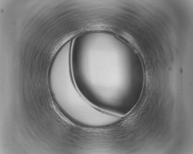 X0000056330389200508260831