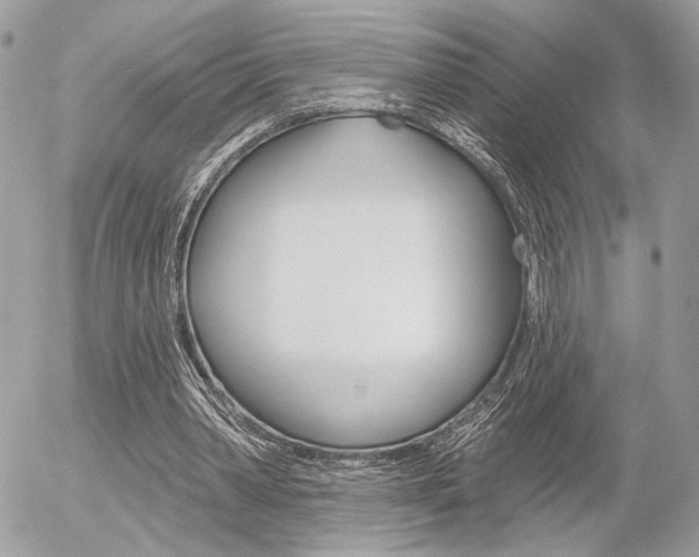 X0000056330390200508260831