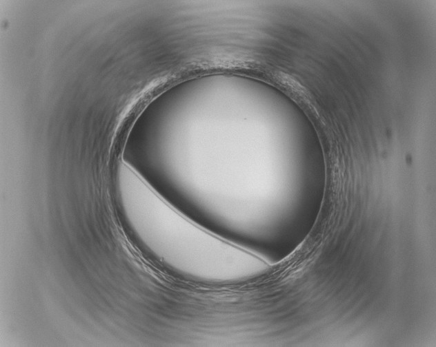 X0000056330395200508260831