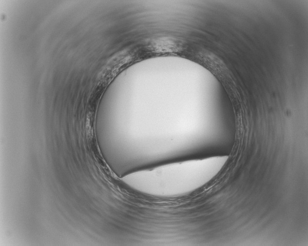 X0000056330422200508260830