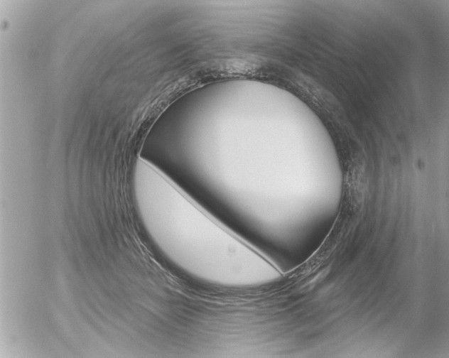 X0000056330462200508260830