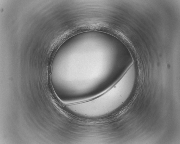 X0000056330493200508260829