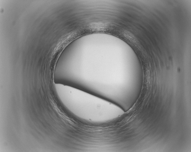 X0000056330494200508260829