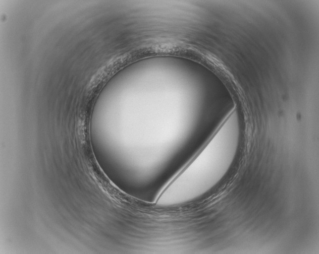 X0000056330497200508260829
