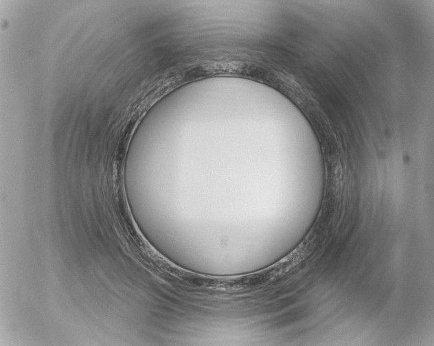 X0000056330498200508260829