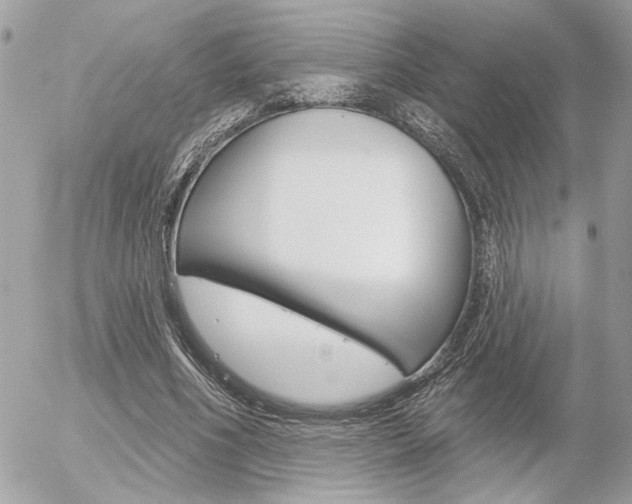 X0000056330586200508260828