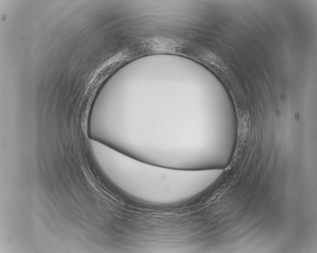 X0000056330587200508260828