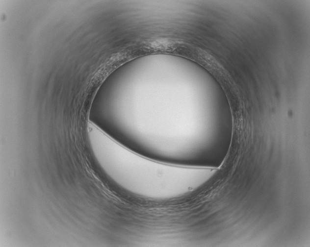 X0000056330593200508260828