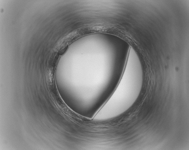 X0000056330597200508260828