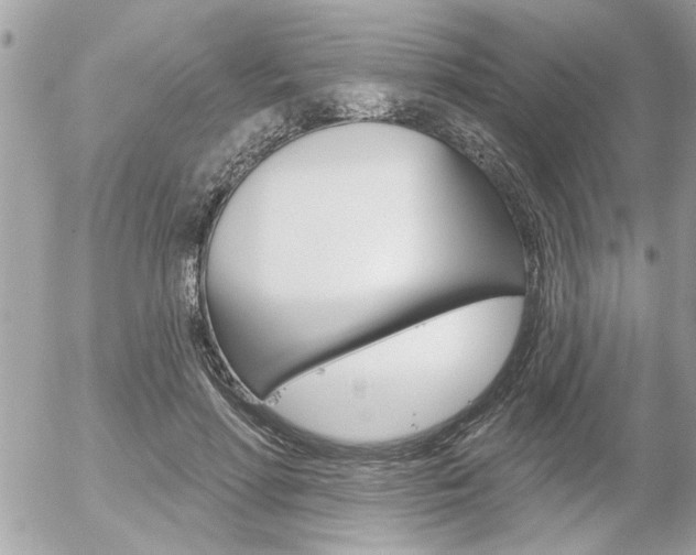 X0000056330598200508260828