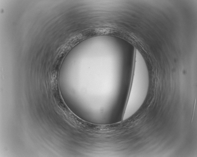 X0000056330601200508260827
