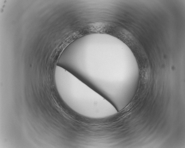 X0000056330602200508260827