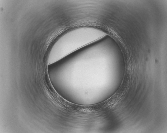 X0000056330635200508260826
