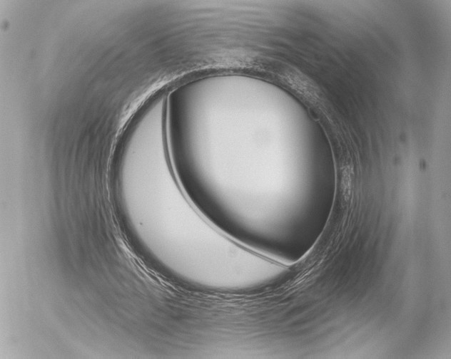 X0000056330676200508260826