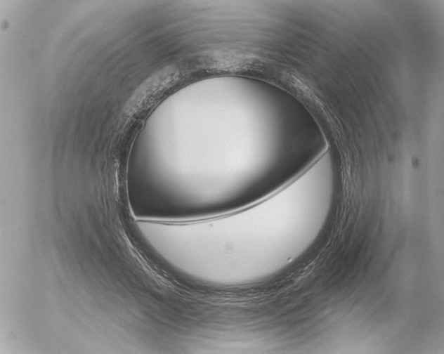 X0000056330685200508260826