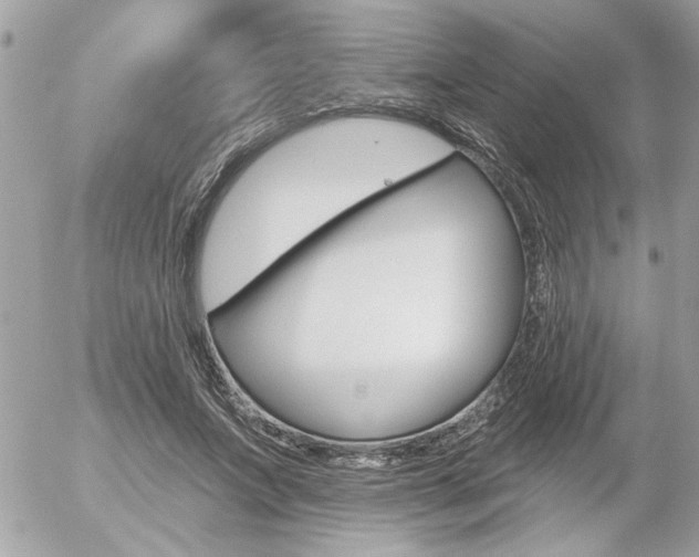 X0000056330687200508260826