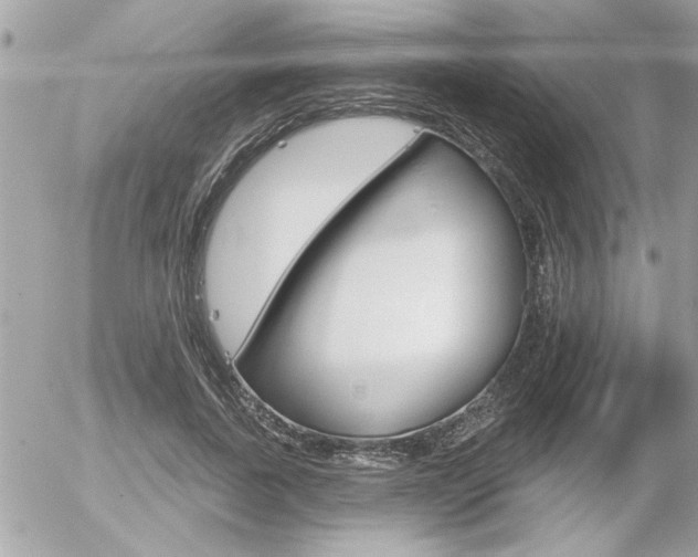X0000056330739200508260825
