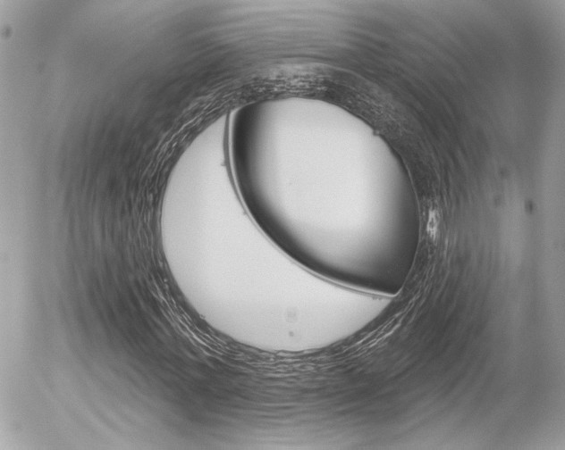 X0000056330771200508260825