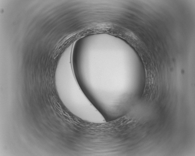 X0000056330773200508260825