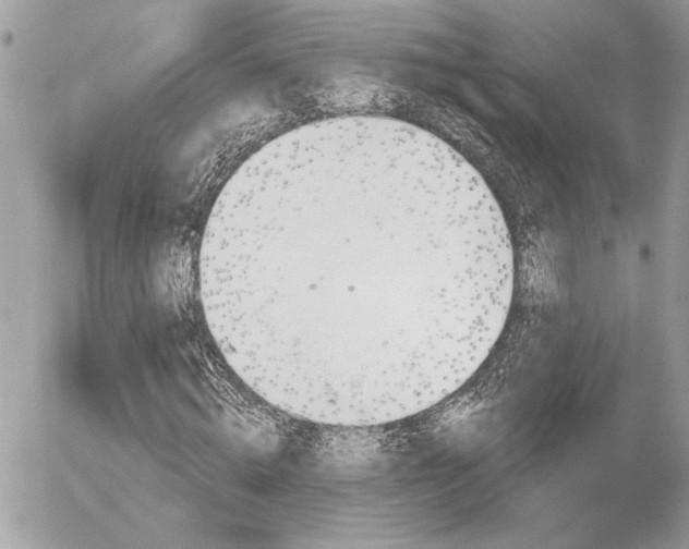 X0000056330820200508260823