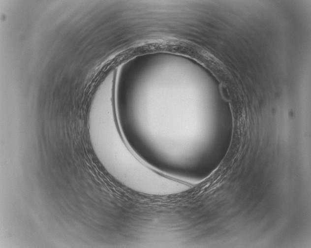X0000056330822200508260823
