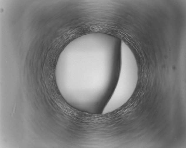 X0000056330865200508260823
