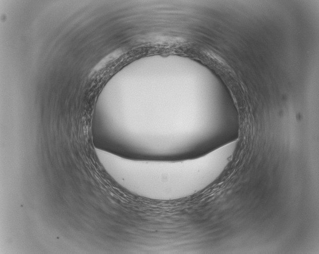 X0000056330869200508260823