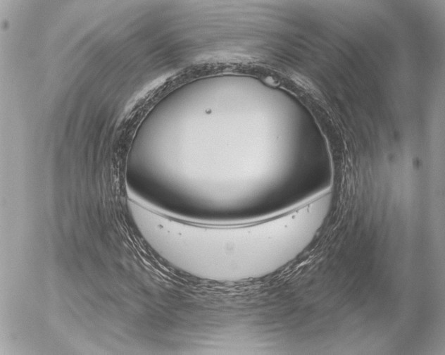 X0000056330872200508260823