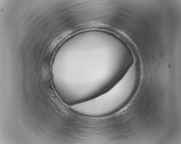 X0000056330873200508260823